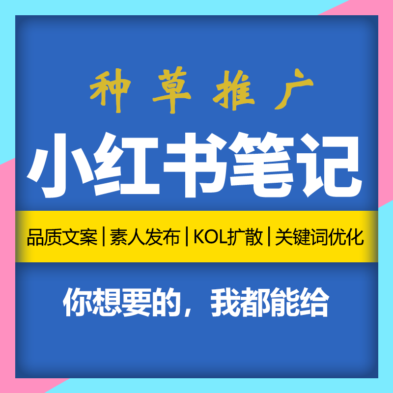 小红书代运营 小红书推广 小红书关键词推广优化 小红书运营