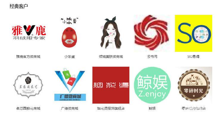雅鹿控股股份有限公司(雅鹿时尚羽绒服专家),河南盛林商贸有限公司