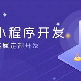 小程序、网站、API对接、物联网、数字孪生系统定制开发