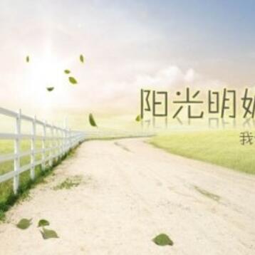 所有类型的ppt设计