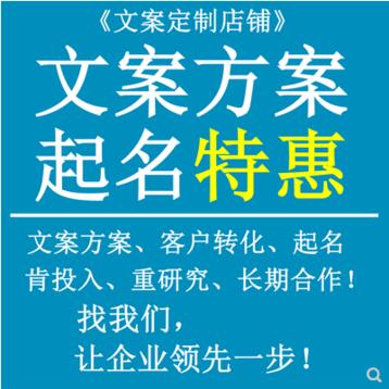 文案方案策划撰写修改企业品牌产品服务多种类型和行业的熟悉写作