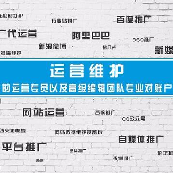 【SEO顾问】石家庄SEO培训_网站优化_网络营销策划