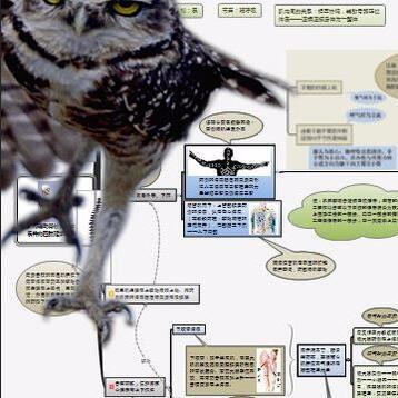 ——瑜伽运行方式（上门私教——提高）