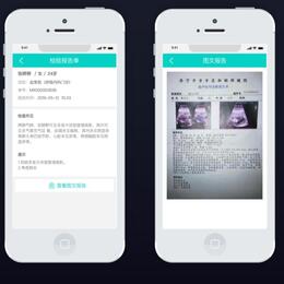 网页 app 小程序开发