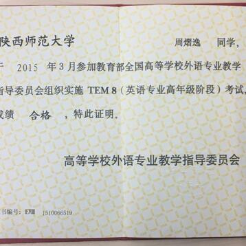 专业翻译，英语专八
