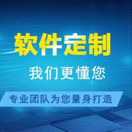 软件开发单机软件联网软件ERP软件