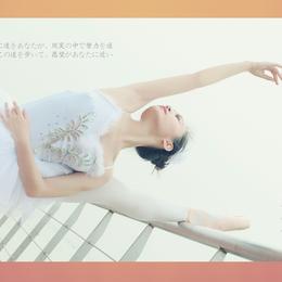 个性摄影写真