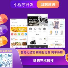 小程序开发，网站建设
